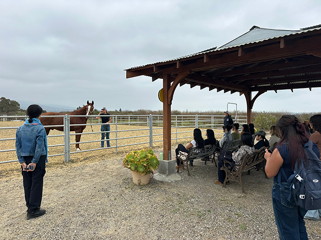 mixture of people seated and some standing facing a horse standing in a pen
